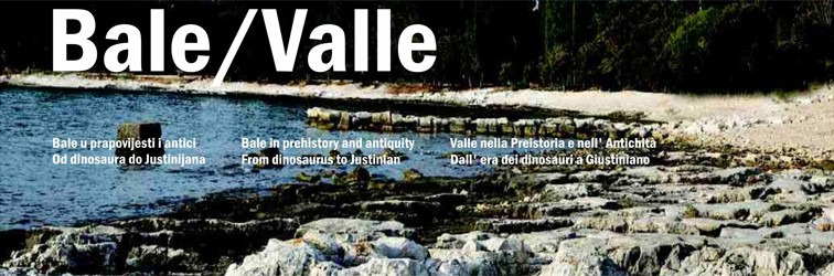 Bale Valle v