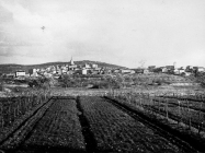 Pogled na Bale 1954. godine, Bale. (bn. 3075) Iz arhive Arheološkog muzeja Istre