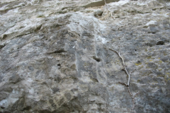 Obrađeni kamen, vjerojatno antičkog porijekla. Crkva Svetog Maura kod Bala. Autor: Aldo Šuran (2007.)