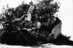 Ruševine crkve sv. Pavla uz obalu jugozapadno od Bala sredinom 60-ih godina, Bale. (bn. 6692) Iz arhive Arheološkog muzeja Istre