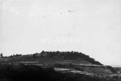 Pogled na brežuljak Smergo kod Buja 80-ih godina, Buje. (fn. 19145) Iz arhive Arheološkog muzeja Istre