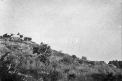 Pogled na Kaštel sa zapadne strane početkom 50-ih, Buje. (fn. 3018) Iz arhive Arheološkog muzeja Istre