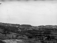Pogled na Gradinu i Monte Loi 1971. godine, Krasica. (bn. 10866.) Iz arhive Arheološkog muzeja Istre