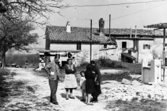 Selo Rogočana kod Labina krajem 50-ih godina, Labin. (bn. 5350) Iz arhive Arheološkog muzeja Istre