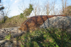 Fort Monte Castellier, Pula. Autor: Aldo Šuran (2006.)