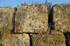 Natpisi s početka 20. stoljeća na krovu. Fort Turtian, Pula. Autor: Aldo Šuran (2007.)