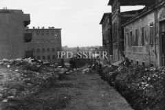 Gajeva ulica (danas..) 1958. godine, Pula. (fn. 5136) Iz arhive Arheološkog muzeja Istre