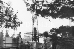 Radovi na uređenju arheološkog parka kod Uljanika 1967. godine, Pula. (bn. 9037e) Iz arhive Arheološkog muzeja Istre