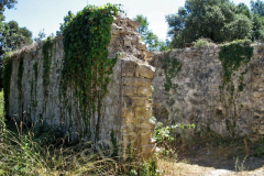 sveti-damjan-rovinj_1