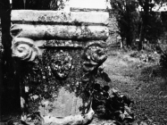 Gotički kapitel oz crkvu sv. Vincenca na groblju u Savičenti 1956. godine, Savičenta. (fn. 4511) Iz arhive Arheološkog muzeja Istre