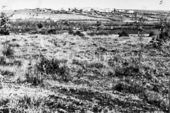 Pogled na selo Markovci s jugo-zapada krajem 50-ih godina, Višnjan. (fn. 5716) Iz arhive Arheološkog muzeja Istre