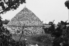 Kažun u okolici Vodnjana početkom 50-ih godina, Vodnjan. (fp. 513 c) Iz arhive Arheološkog muzeja Istre