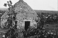Kažun u okolici Vodnjana početkom 50-ih godina, Vodnjan. (fp. 514 c) Iz arhive Arheološkog muzeja Istre
