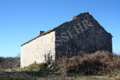 Sveti Toma, Vodnjan. Autor: Aldo Šuran (2011.)