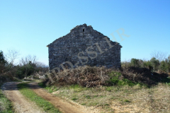 Sveti Toma, Vodnjan. Autor: Aldo Šuran (2011.)